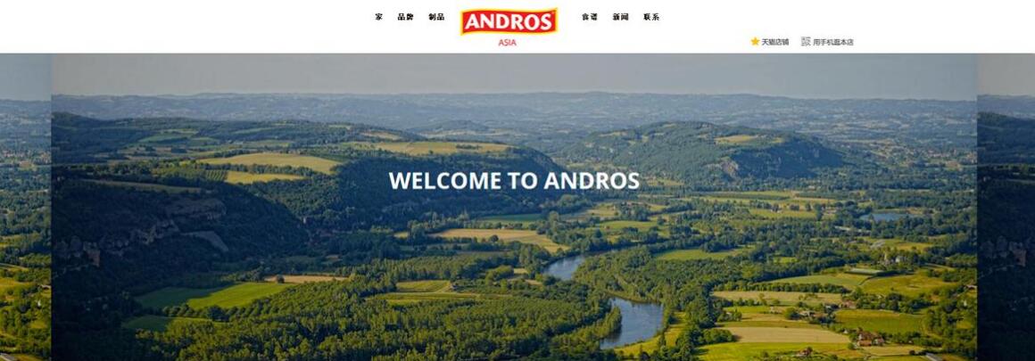 北京魏善莊網站建設公司