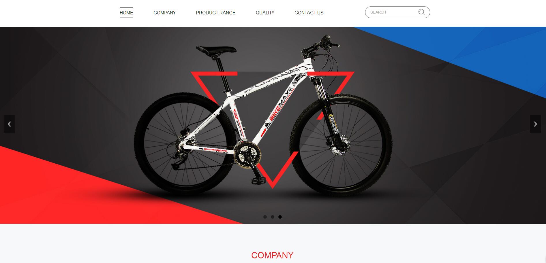 雙井網站建設公司案例