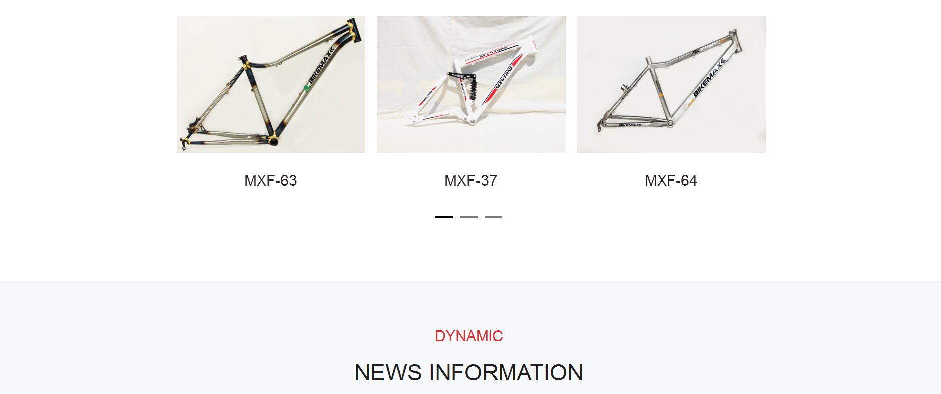 雙井網站設計公司案例